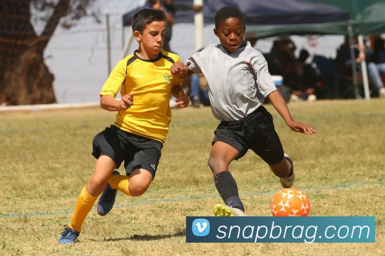 ag百家乐平台生态图